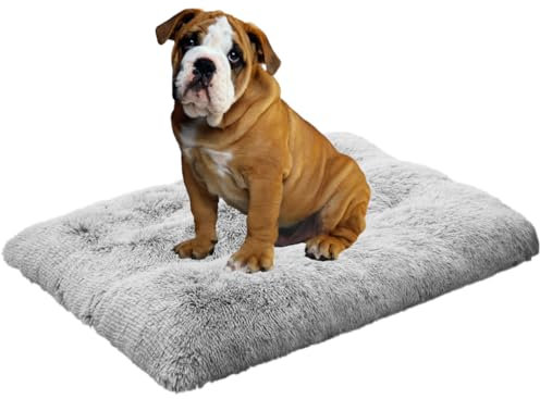 LEZUAN Weich Hundebett für Grosse Hunde und Mittelgroße Hunde, Plüsch Hundekissen Verdicken Hundematten mit Rutschfester Unterseite Flauschig Haustierbett, Waschbar und Anti Stress(Grau,59x80cm)