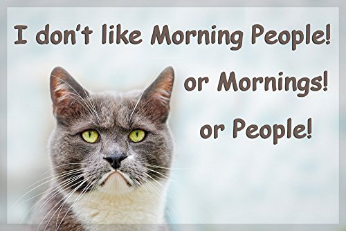 Funny Grumpy Cat Fridge Magnet - I Dont Like Morning People