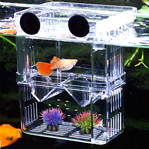 NETUEM Acrylic Double Layer Fish Breeder Box with Suction Cups, L Size Baby Fish Hatchery for Guppies, Float Divider for Tropical Fish Tank