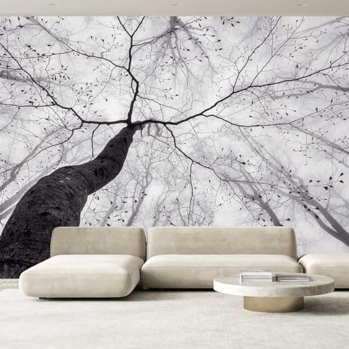 Hexoa Papier Peint panoramique Arbre en Hiver - Made in France - 364x270