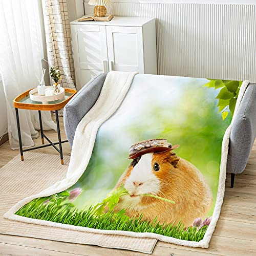 Loussiesd Meerschweinchen Wohndecke Kinder Niedliche Cavy Flanell Fleecedecke 220x240cm 3D Tier Thema Kuscheldecke für Jungen Mädchen Schlafzimmer Garten Natur Thema Atmungsaktiv Mikrofaser