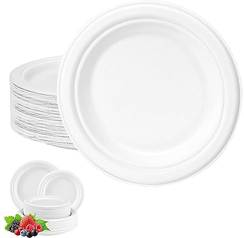 Disposable White Paper Plates 6 Inch/15cm - Super Rigid Bagasse Eco-Friendly Compostable Biodegradable 100 Pack - Sturdy Sugarcane Party Plates Strong Heavy Duty for Hot/Cold Food