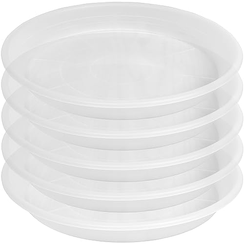 SAUCERHOME Confezione da 5 sottovasi per piante da 10 cm, 15 cm, 20 cm, 25 cm, 20 cm, 30 cm, 30 cm, 40 cm, 40 cm, 50 cm, in plastica, per interni ed esterni, resistente e durevole, per piante (10 cm,