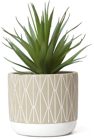 Kurrajong Farmhouse Realistic Faux Succulent in Pot Fake Plant for Home, Office Desk Decor, or Perfect for Shelf Decor. This Succulent Plant Artificial Will Suit Any Home.