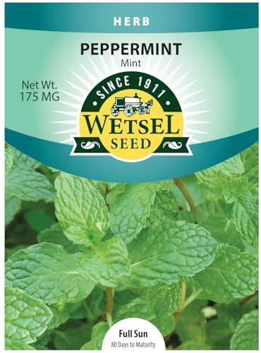 Wetsel Seed™ Peppermint Mint Seed, 175mg Packet, 10-Pack
