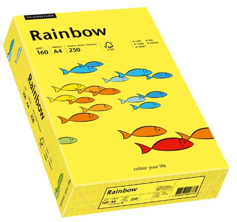 Papyrus 88042327 Druckerpapier Rainbow 160 g/m², A4 250 Blatt mittelgelb