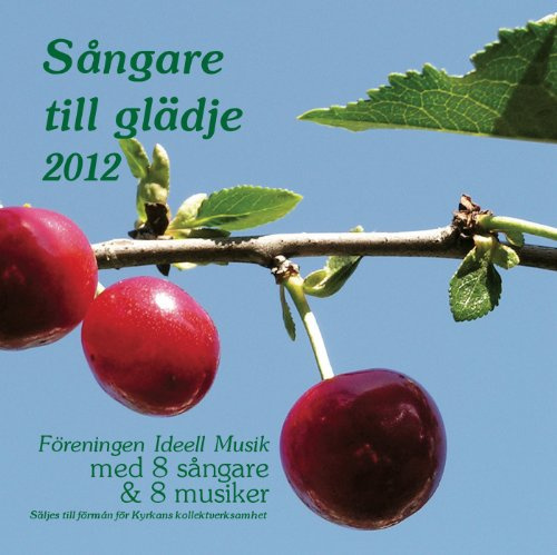 Sangare Till Gladje 2013 / Various