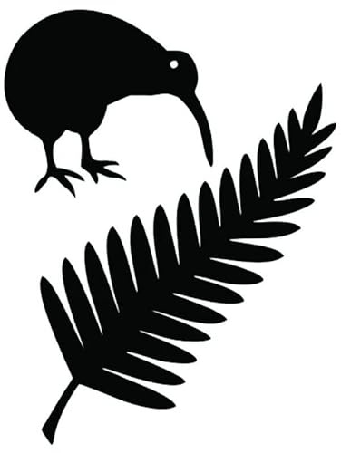 CHSLO Autoaufkleber 11,4 * 15CM Kiwi Vogel Und Neuseeland Farn Vinyl Auto Aufkleber Kreative Auto Styling Aufkleber Schwarz/Silber