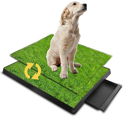 NEWFUN 63 * 51 cm Inodore per cani Cested interno Orinale Cane Cuscinetto di allenamento dell'Erba per animali domestici, Lettiera per Cani e Gatti per Addestramento