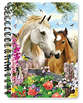 Howard Robinson hr18104 Summer Meadow Notebook