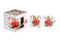 RSW Christmas Robin Poinsettia Mug and Coaster Gift Set Festive Holiday Present New Bone China Tea Coffee Secret Santa Xmas Traditional