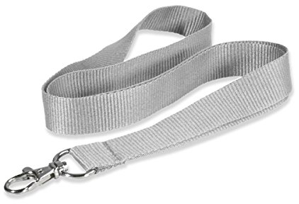Kandinsky Schlüsselbänder Lanyards unbedruckt, Grau, mit Verschluss, 20 mm Breite (50 Stück)