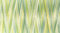 Gütermann Creativ Bulky-Lock Stärke 80 Multicolour 1000 m 9963 1000 m, 730809-9963