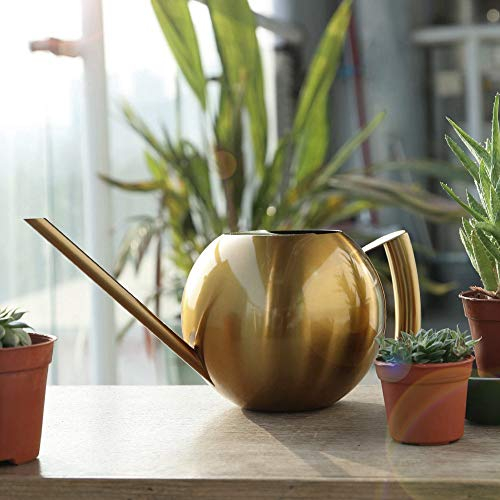 Regadera de Bonsai de Acero Inoxidable de 1000 ml Regadera suculenta de Interior Pote de Boca Larga Plantas de jardín al Aire Libre Herramienta para Oficina de niños(Oro)