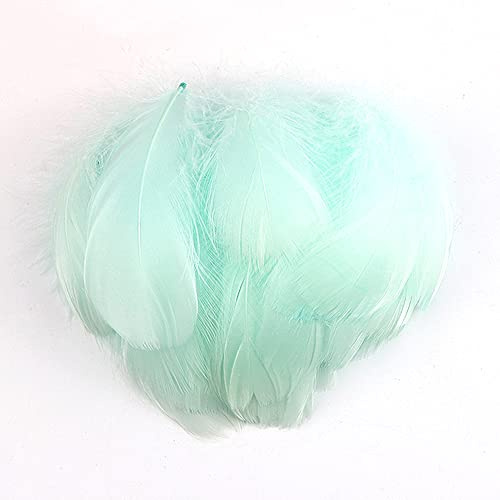 100 Stück Bunte Feder zum Basteln Naturfedern Gänsefedern Indianer Bastelfedern für DIY Kunstwerk Masken Hüte Ohrringe Haarschmucken Traumfänger Hochzeit Karneval Party Dekoration,7-12cm Hellgrün