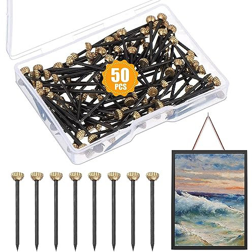 50Pcs Picture Pins, 1 Inch Picture Hangers Nails Brass Hard Walls Photo Frame Nails Pins Picture Hanging Hooks with Storage Box for Hanging Photo Frame