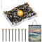50Pcs Picture Pins, 1 Inch Picture Hangers Nails Brass Hard Walls Photo Frame Nails Pins Picture Hanging Hooks with Storage Box for Hanging Photo Frame