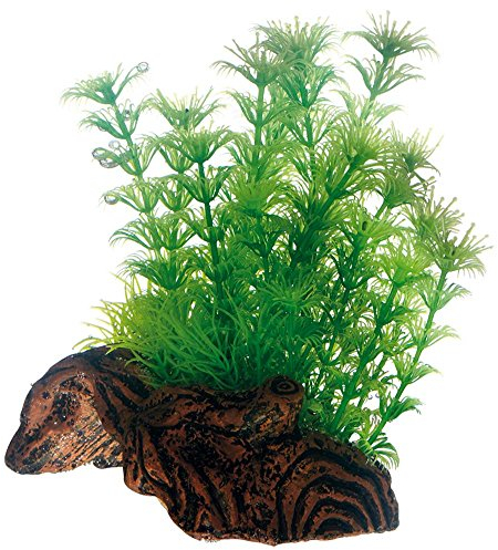 Hobby 51597 Flora Root 3, Wurzelnachbildung mit Kunstpflanzen, S