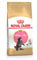 Royal Canin Katzenfutter Feline Kitten Maine Coon 36, 10 kg, 1er Pack (1 x 10 kg)