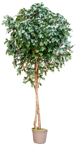 kunstpflanzen-Discount.com Eichen Kunstbaum XL 400cm mit 4970 Textilfaser Blätter und Naturstämme - Extra großer künstlicher Eichenbaum mit Eicheln