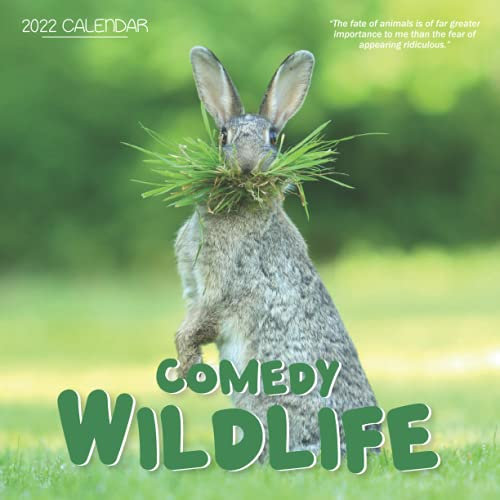 Comedy Wildlife 2022 Calendar: From January 2022 to December 2022 - Square Mini Calendar 8.5x8.5 - Small Gorgeous Non-Glossy Paper