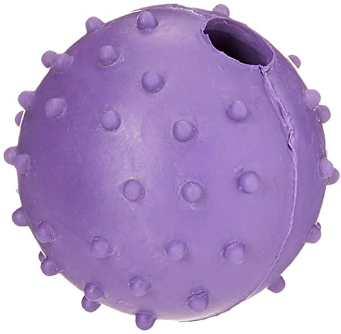 Balle à Boutons en Caoutchouc Classique pour Chiens avec Clochette