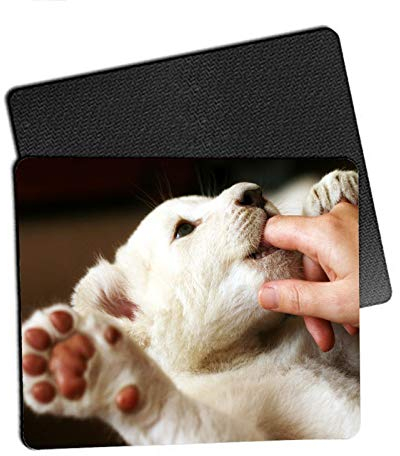 Lot de 10 tapis de souris vierges pour impression par sublimation