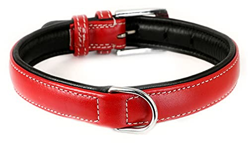Monkimau Hundehalsband aus Leder Halsband für Hunde Lederhalsband weich gepolstert (M, rot)