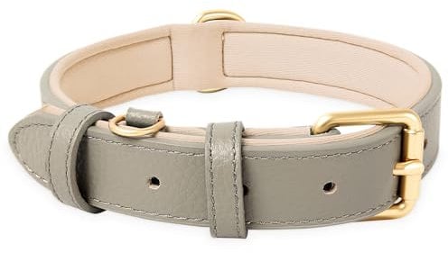 HEELE Hundehalsband Leder Hundehalsband mit gepolstert und echtes Leder, Verstellbar, Halsband für Welpen Kleine Mittel Große Hunde, Neu-Grau, L