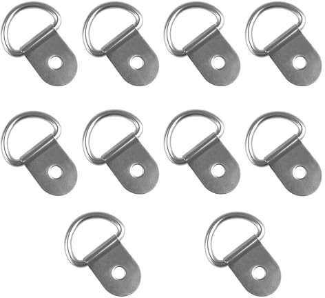 Ryaupy 10Pcs D Zurröse Ring, Zurrösen für Anhänge V Ring, Schwerlast Edelstahl D Form Zurröse, für Ladungssicherung in PKWs Kajak und Anhängern (Silber)