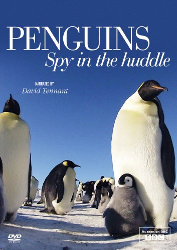 Penguins - Spy in the Huddle [UK Import]