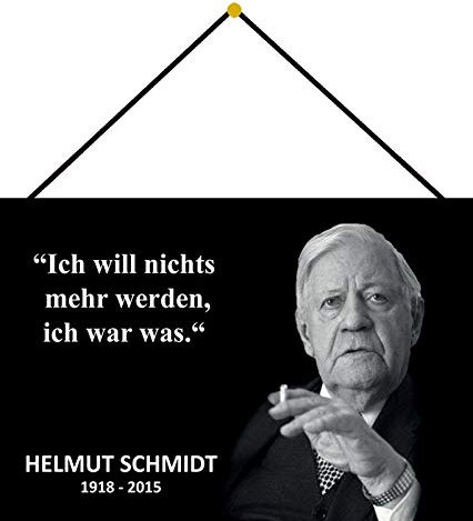 generisch Blechschild 20x30cm gewölbt mit Kordel Nichts mehr Werden Spruch Helmut Schmidt Deko Geschenk Schild Tin Sign