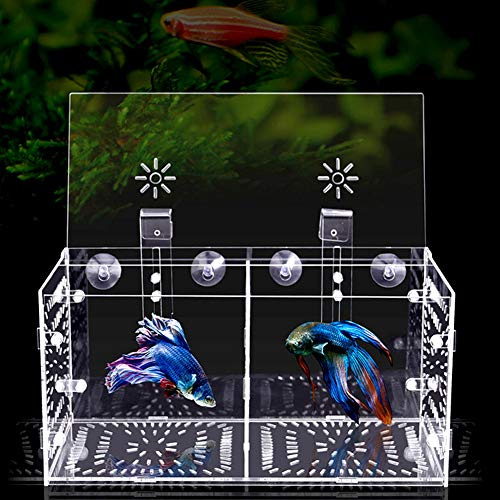 Pssopp Aquarium Zuchtbox Fischsämlinge Inkubator Aquarium Isolationsbox Brutbrut Fischteiler Fischbrut Inkubator mit Isolationsbrett(30CM*15CM*15CM)