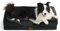 BEDSURE orthopädisches Hundebett Ergonomisches Hundesofa - 89x63 cm Hundecouch mit eierförmiger Kistenschaum für mittlere Hunde, waschbar rutschfest Hundebetten, schwarz