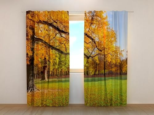 Wellmira Fotogardine: Goldener Herbst, Vorhang mit Fotodruck, Gardine mit Bildmotiv, Maßanfertigung, Material (Transparent (Chiffon))