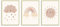 FAVELOT Poster Kinderzimmer Jungen & Mädchen 30x40cm - Regenbogen, Sonne, Beige Boho - Bilder Babyzimmer Deko - Deutscher Premium-Druck - 3er Set 30x40cm, goldene Rahmen