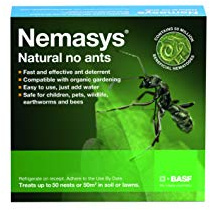 nemasys no ant large pack treating 50sqm