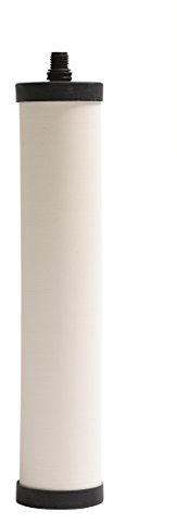 Franke FRC06 Undersink Water Filtration Filter for FRCNSTR, Chlorine Removal