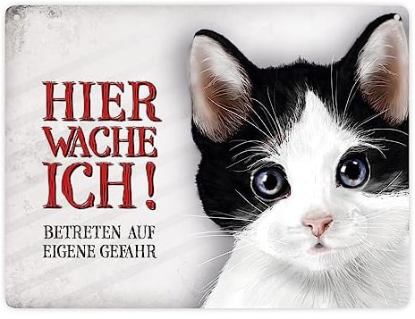 Betreten auf eigene Gefahr - Hier wache ich! Metallschild XXL mit Katze Motiv