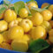 aprikosenbaum zwerg samen, hochbeet samen frisches obst topfpflanzen draußen winterhart obstbäume deko pflanzen bio saatgut obstbäume bonsai samen winterharte pflanzen für balkon 15pcs