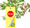 Albagarden - Trappola Cromotropica Gialla Per Mosca Bianca - Adesiva A Doppia Forza - Pannelli Cattura Insetti, Trappole Anti Insetti X 10 Pz
