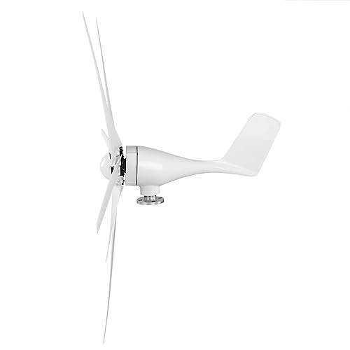 OEBUAFI Generatore Eolico AC da 800 W Eoliche Affidabili a 6 Pale per la Ricarica di Barche o Terrazze (12V)