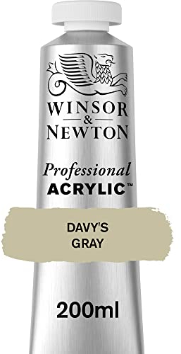 Winsor & Newton 2337217 Professional Acrylfarbe in Künstlerqualität, hohe Farbbrillanz & Deckkraft, Archivqualität, 200ml Tube - Davy's Grau
