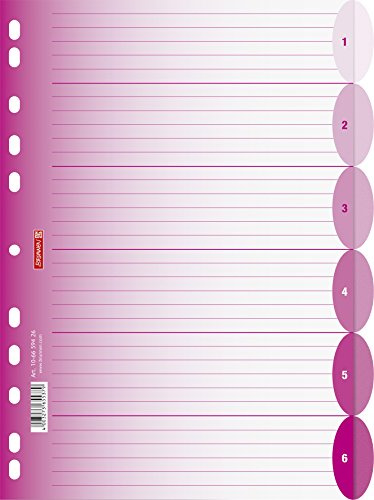 Brunnen Ordnerregister Ringbuchregister Colour Code, PP, halbrund, pink, A4, 225 x 297