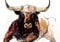 wandmotiv24 Fototapete Illustration Stier braun, XS 150 x 105cm - 3 Teile, Wanddeko, Wandbild, Wandtapete, Gemälde Bulle Tier M6543