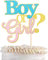 SYKYCTCY 1 Pack Boy or Girl Cake Topper Glitter Blue and Pink He or She Cake Picks Baby Shower Gender Reveal Cake Decorations Baby Shower Kids Birthday Party Decorations Supplies