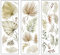 Wandtattoo Boho Palme Blätter Tropische Pflanzen Wandsticker, Wandaufkleber Selbstklebend Pflanzen Wandsticker, Wand Deko für Wohnzimmer Schlafzimmer Kinderzimmer Badezimmer