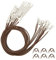 Lot de 60 Cordons de Collier Cirés avec Fermoir, Cordon en Coton ciré pour Bijoux, Bracelet, Cordon, Cordon de Cire, Collier pour Fabrication de Bijoux, Artisanat, pendentifs.