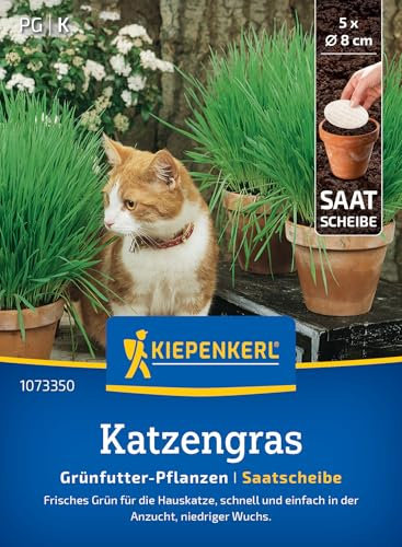 Kiepenkerl Katzengrassamen Frischgrün Mischung 1073350 - - frisches Grün - schnell und einfach - niedriger Wuchs - Gräser, Pflanzensamen, Saatscheibe