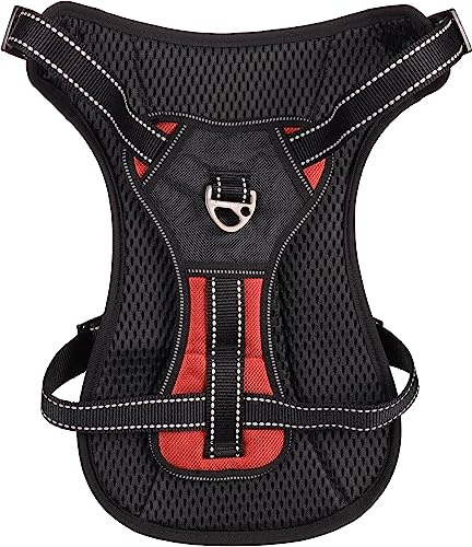 Flamingo Geschirr Kelso ROT L 44-64CM 25MM